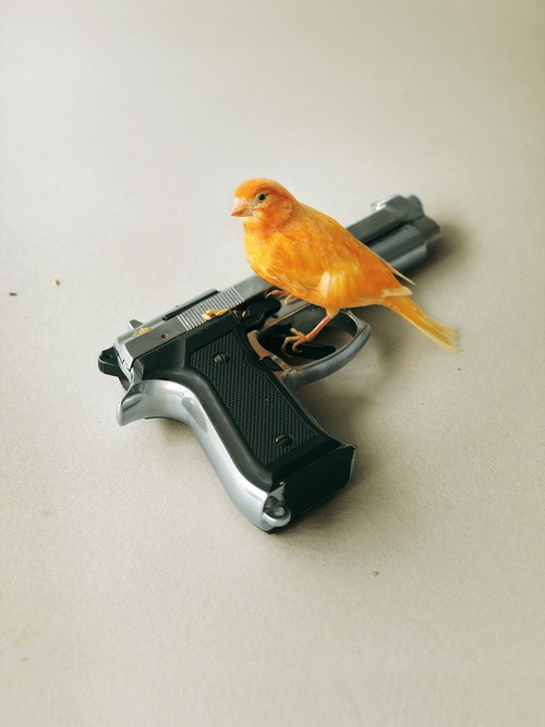 Archillect ID 116748