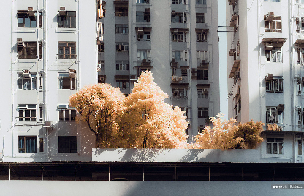 Archillect ID 116766