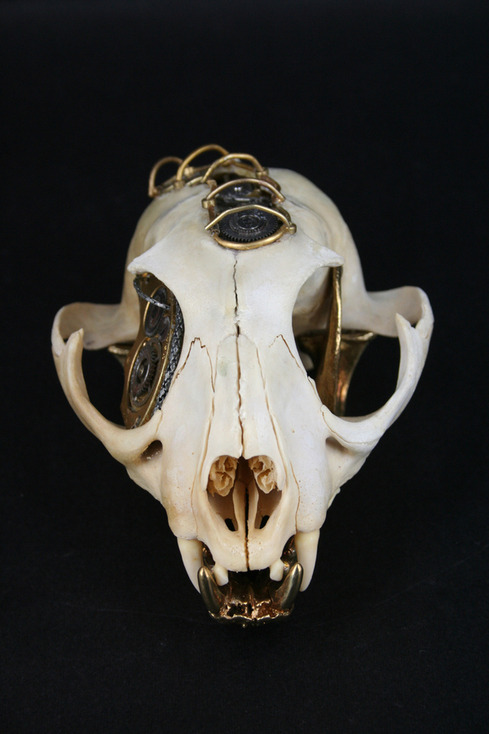 Archillect ID 116798