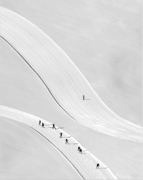 Archillect ID 116800