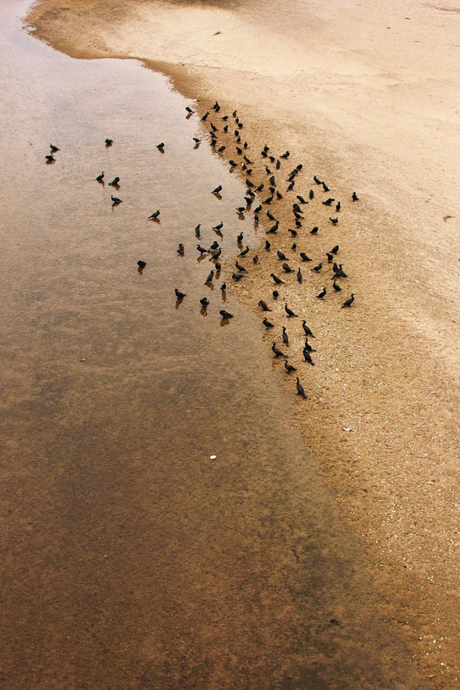 Archillect ID 116910