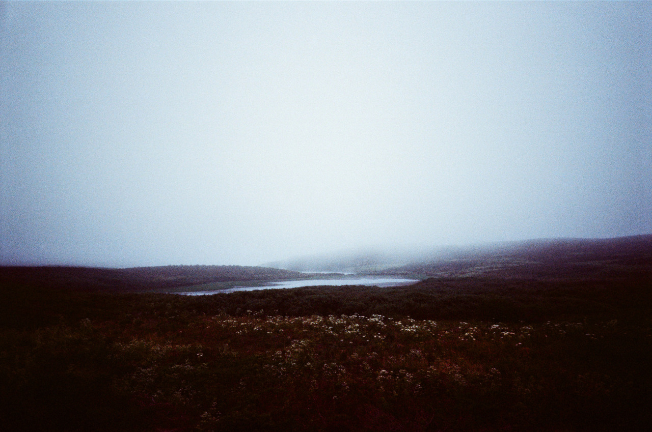 Archillect ID 116988