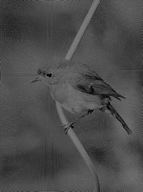 Archillect ID 116995