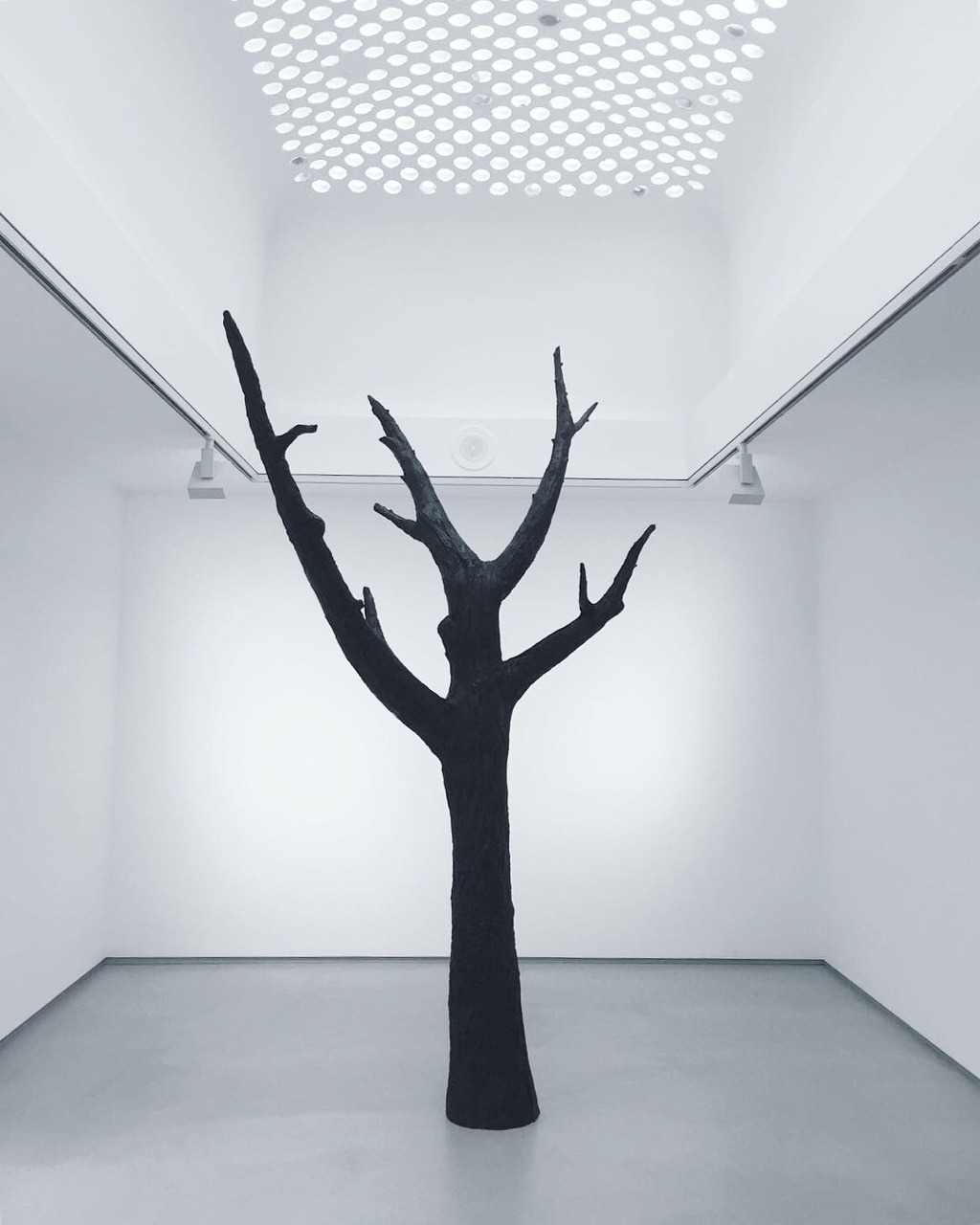 Archillect ID 117186