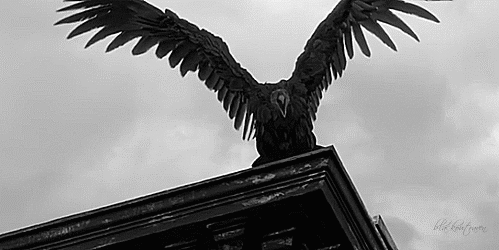 Archillect ID 117294