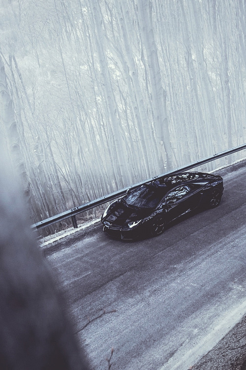 Archillect ID 117477