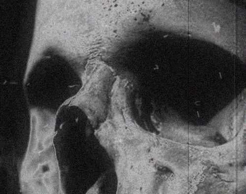 Archillect ID 117503