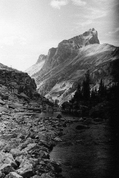 Archillect ID 117677