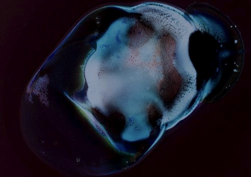 Archillect ID 117736