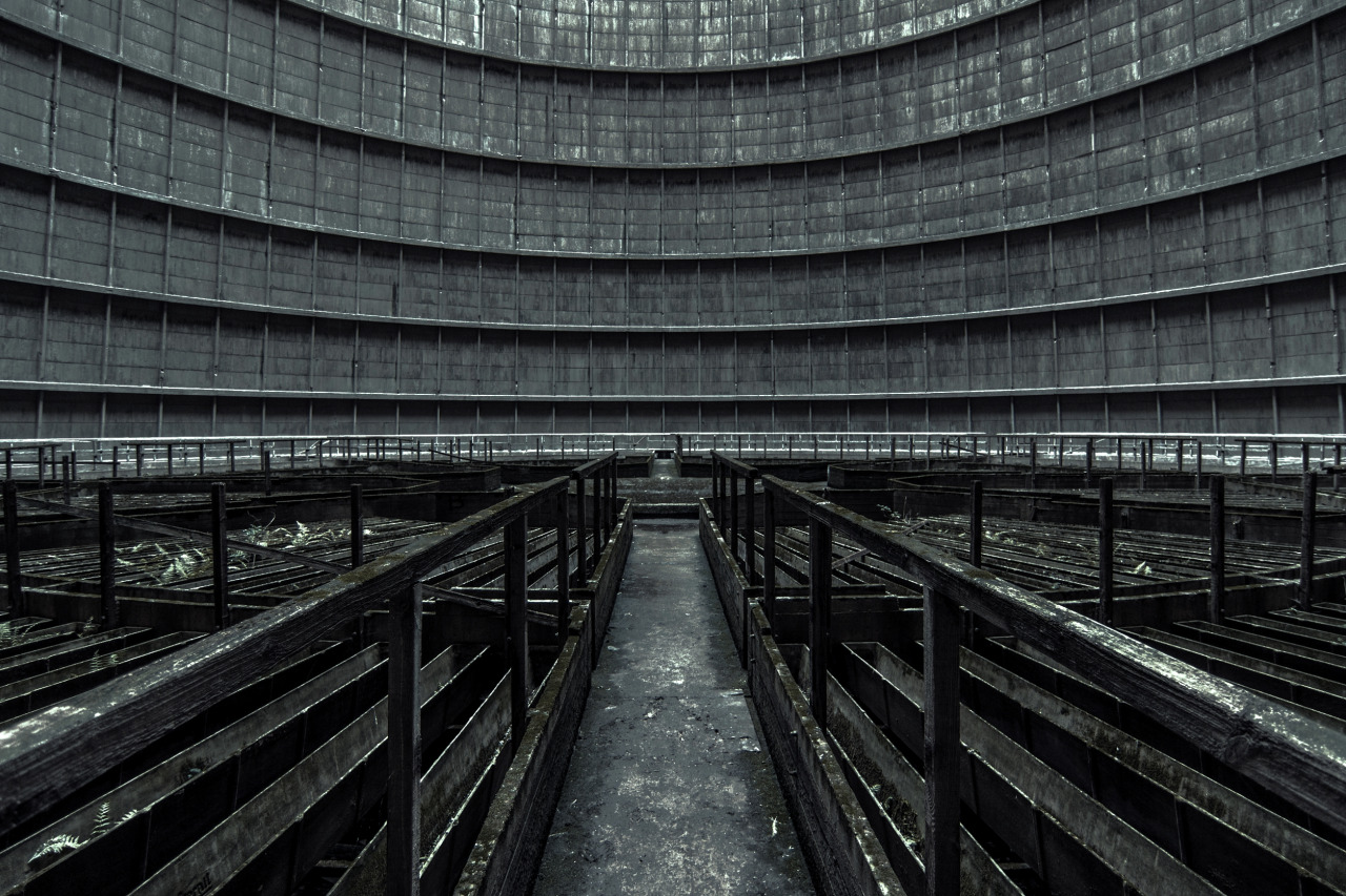 Archillect ID 117770