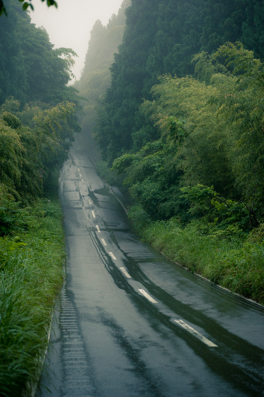 Archillect ID 117808