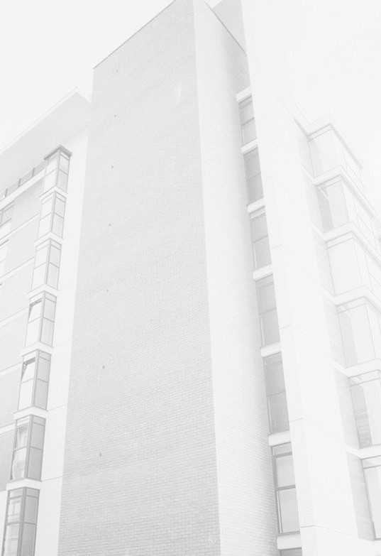 Archillect ID 117858
