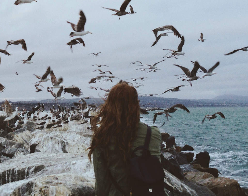 Archillect ID 117867