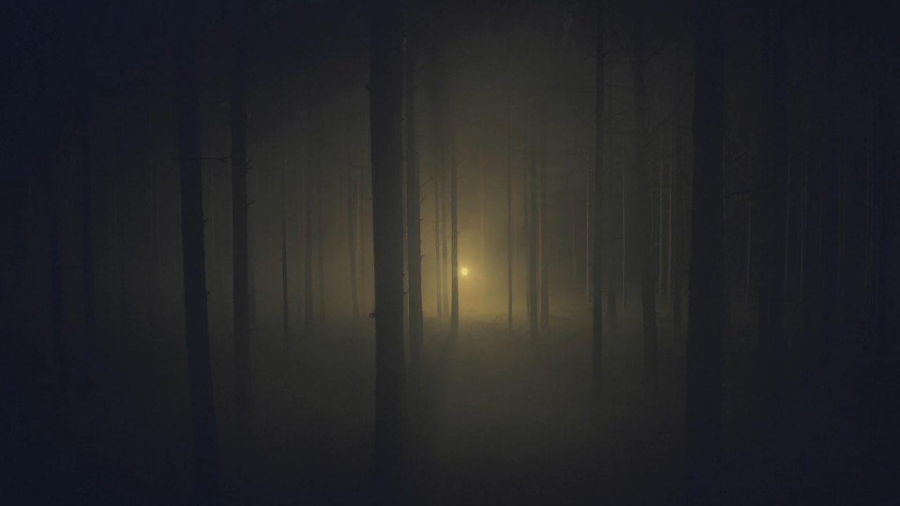 Archillect ID 117964
