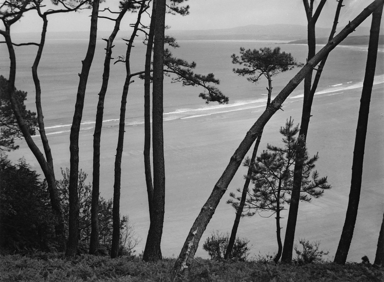 Archillect ID 118007