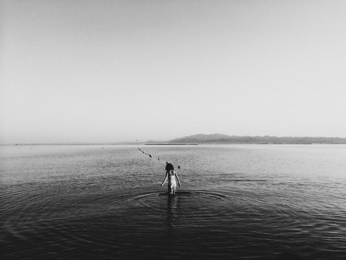 Archillect ID 118284