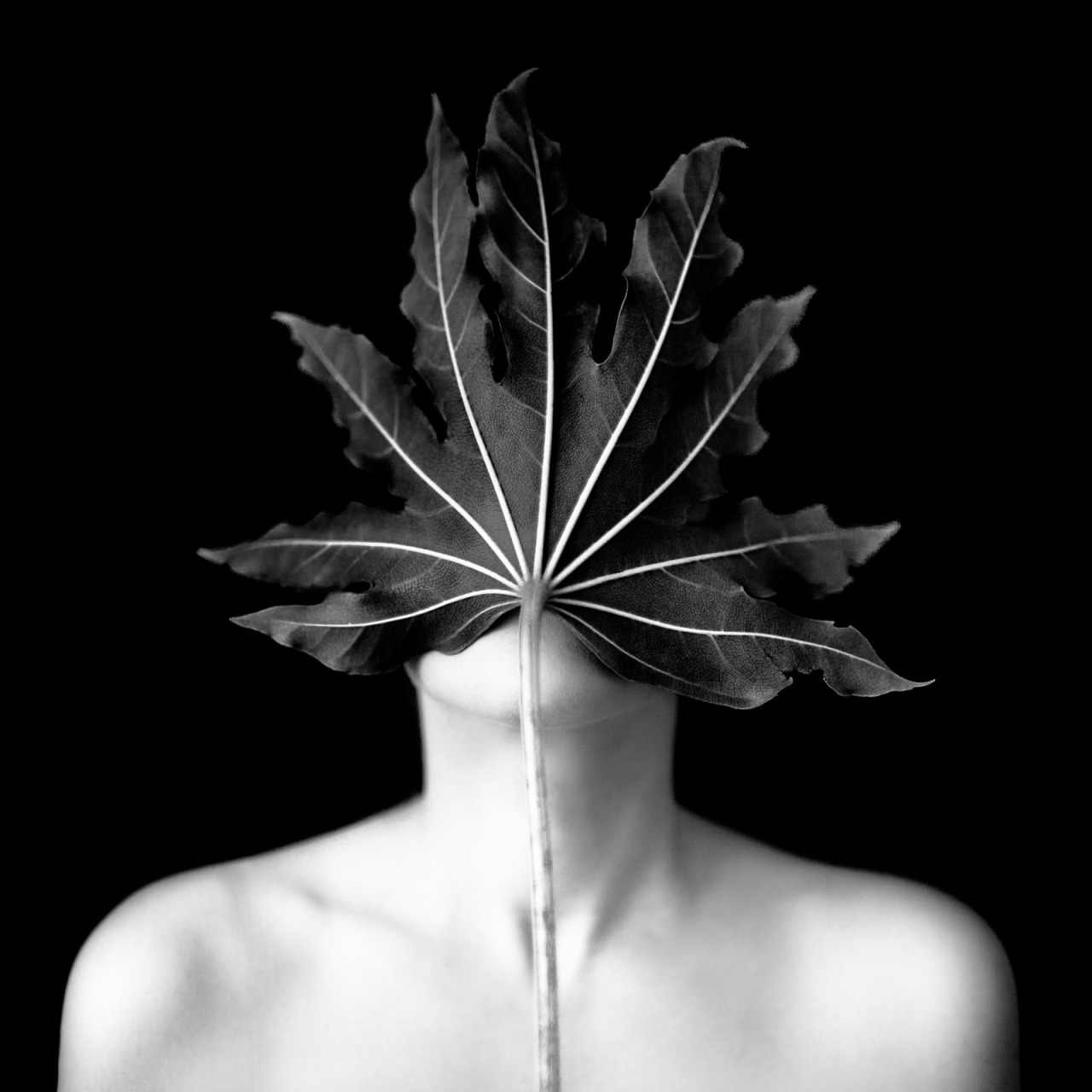 Archillect ID 118460