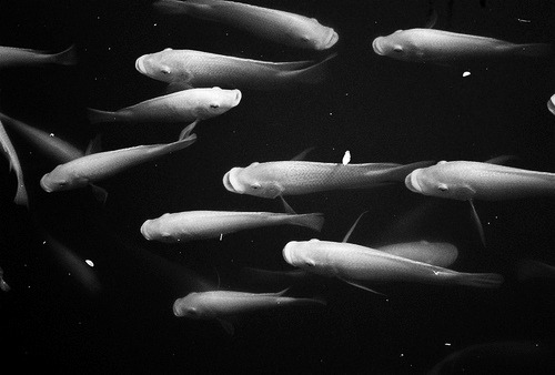 Archillect ID 118597