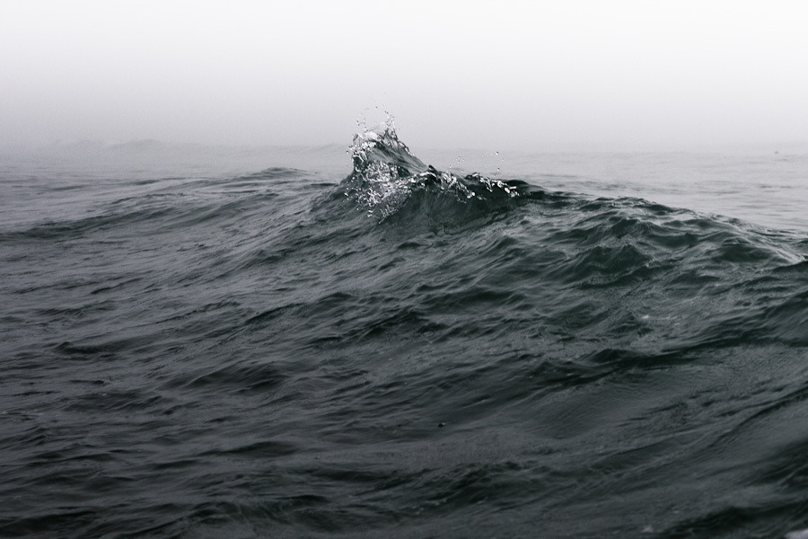 Archillect ID 118645