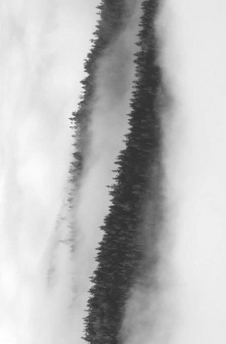 Archillect ID 118769