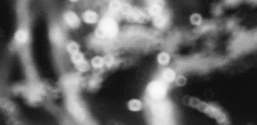 Archillect ID 118813