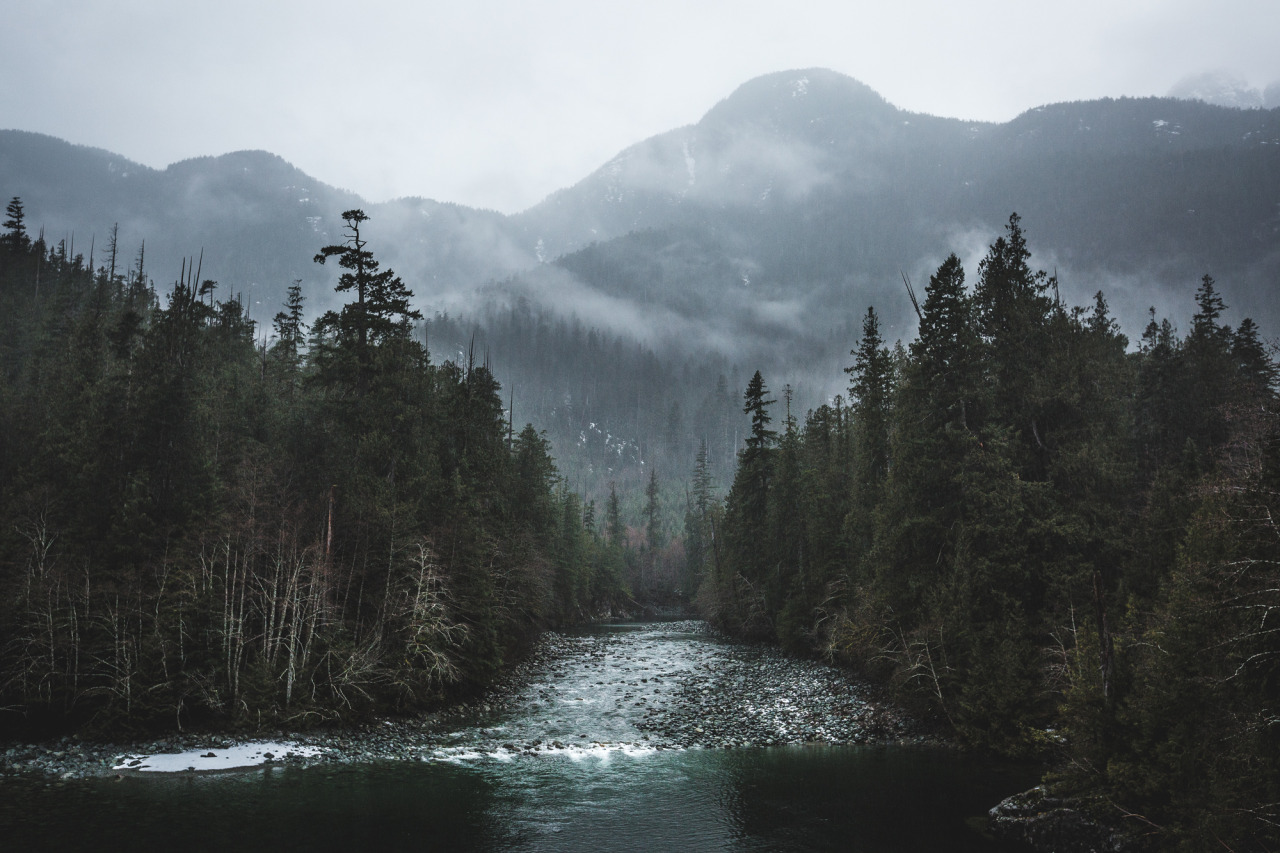 Archillect ID 118854