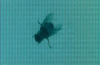 Archillect ID 119116
