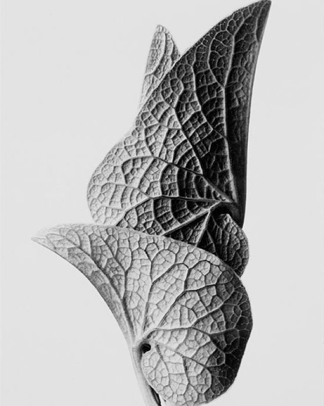 Archillect ID 119149