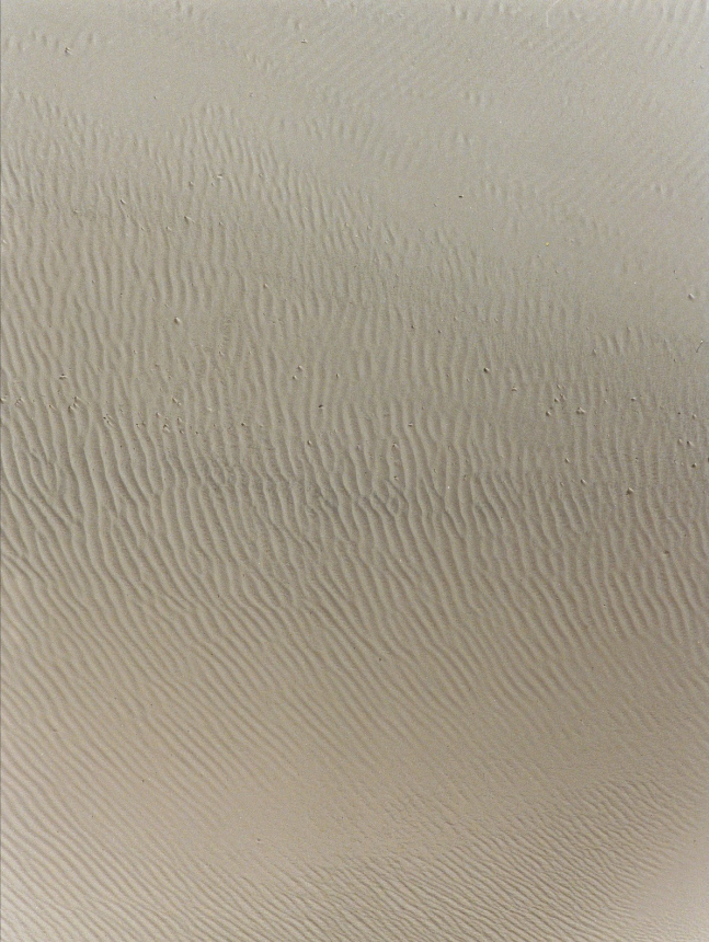 Archillect ID 119167