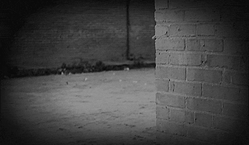 Archillect ID 119183