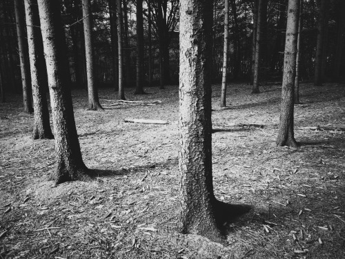 Archillect ID 119447