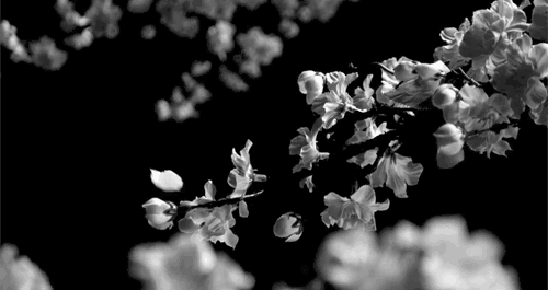 Archillect ID 119545
