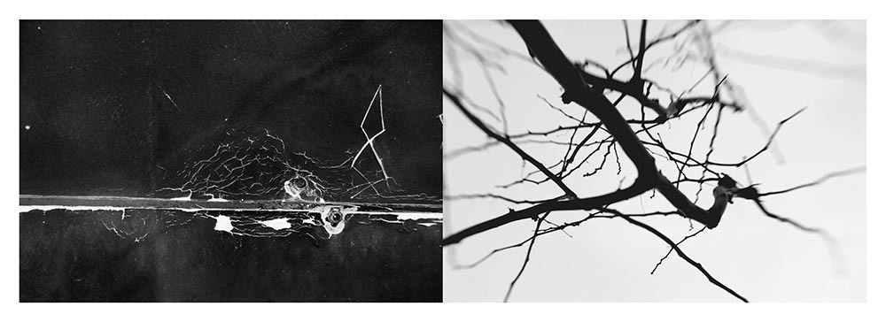 Archillect ID 119564