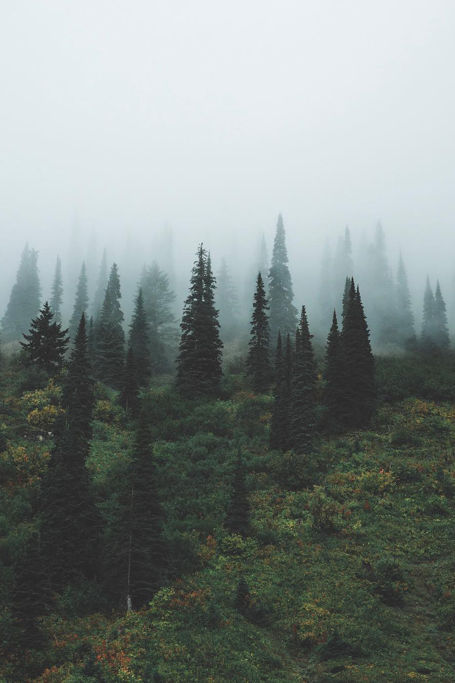 Archillect ID 119587