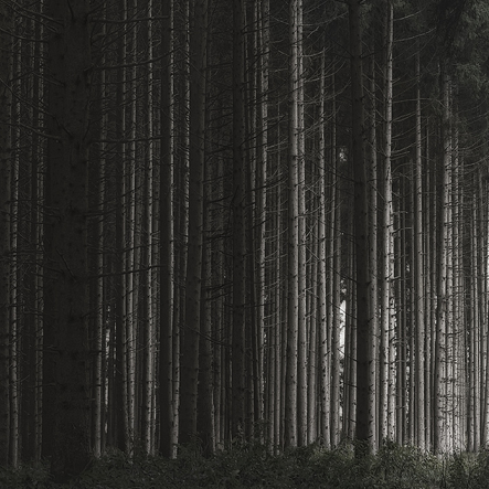 Archillect ID 119785