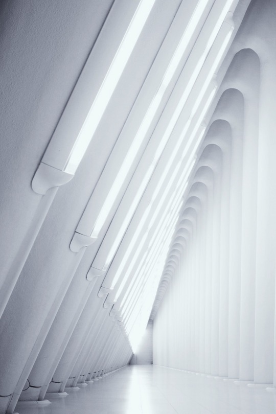 Archillect ID 119894