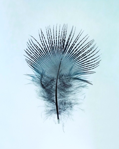 Archillect ID 119941