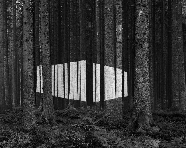 Archillect ID 120015