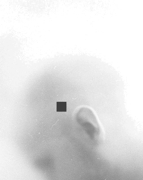 Archillect ID 120052