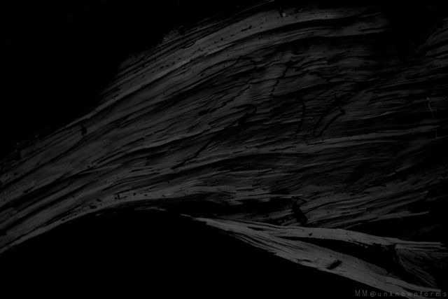 Archillect ID 120102