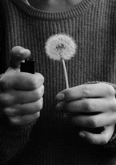 Archillect ID 120114