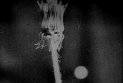 Archillect ID 120115