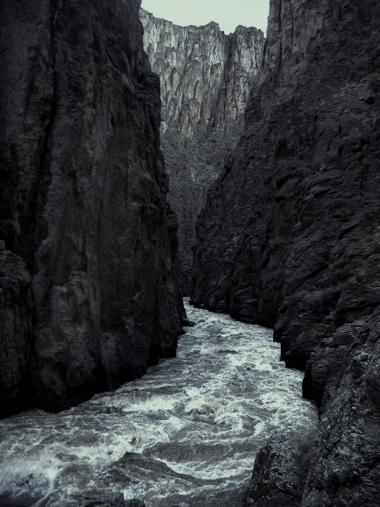Archillect ID 120221