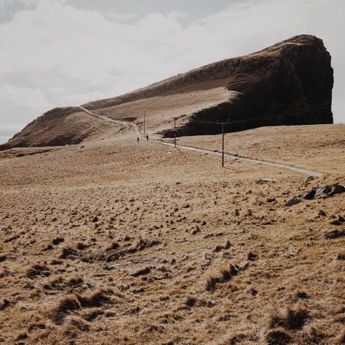 Archillect ID 120317