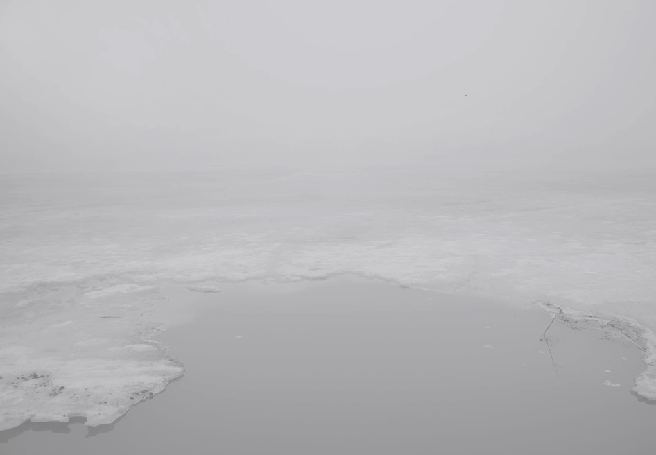 Archillect ID 120394