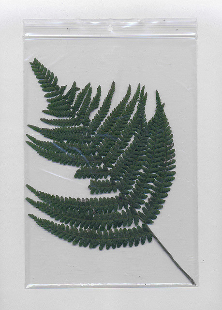 Archillect ID 120457