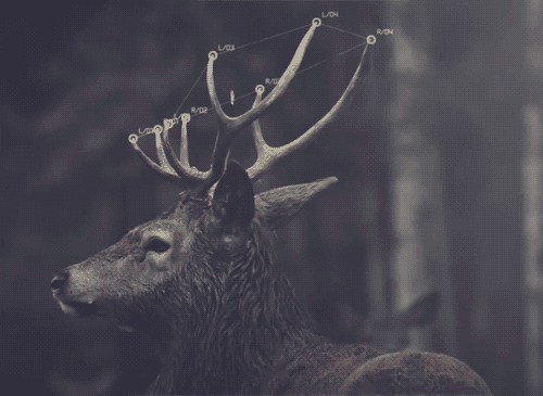 Archillect ID 120488