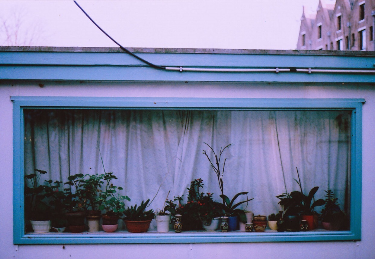 Archillect ID 120540