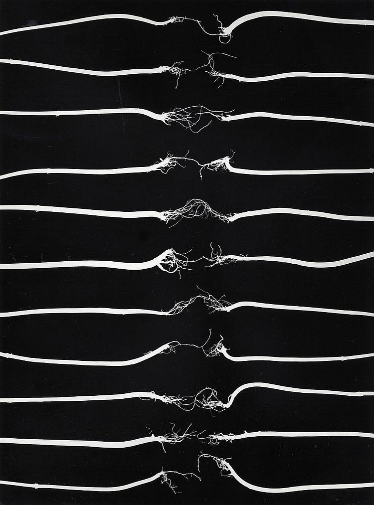 Archillect ID 120685