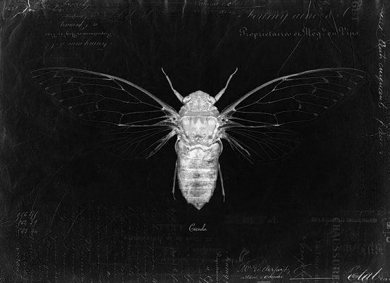 Archillect ID 120737